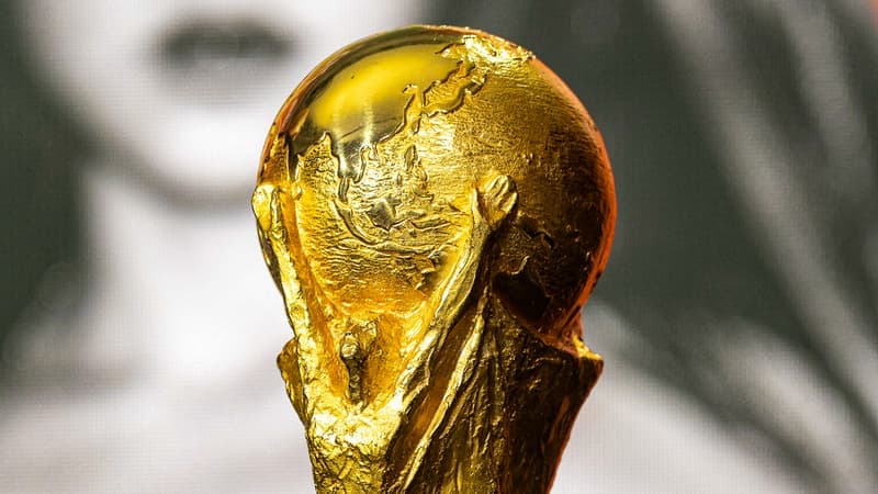 Coupe du monde 2026: calendrier, résultats et classement du groupe D