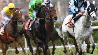 Les pronos hippiques du mardi 4 août 2026