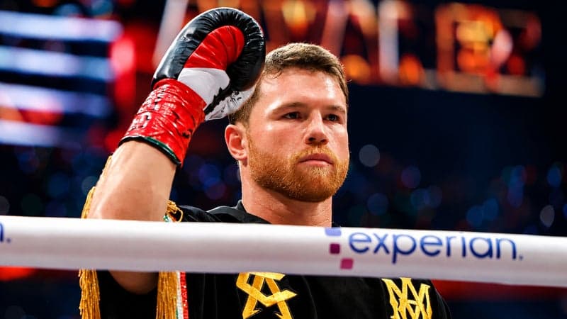 "C’est comme s'ils avaient gagné au loto": Canelo Alvarez, le boxeur qui rend ses adversaires multimillionaires