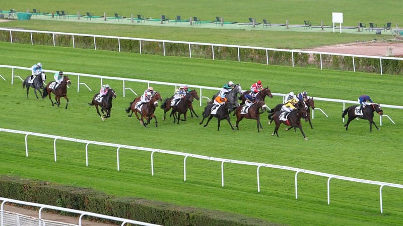 Les pronos hippiques du jeudi 24 septembre 2026