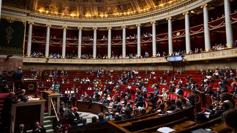 C'est non: l'Assemblée nationale rejette la diffusion en clair de matchs de Ligue 1