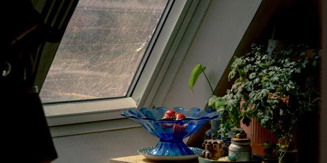 « Un jour, les habitants du dernier étage chercheront des responsables » : vivre sous les toits par 40 °C