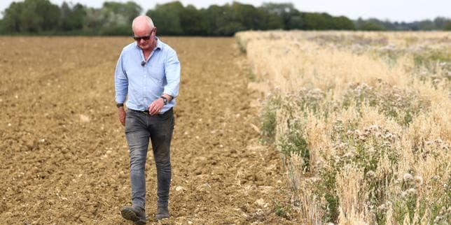 En Angleterre, les paysans sont rémunérés pour s’occuper de la nature : « C’est devenu une source de revenus indispensable »