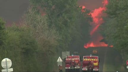 Feux de forêt, malaises... Les pompiers en première ligne face à la canicule