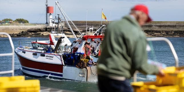 En Bretagne, la quête de licences pour les marins pêcheurs tourne au parcours du combattant