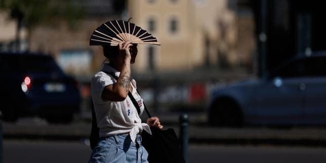 La Bretagne prend conscience de sa vulnérabilité aux canicules : « Ici, on part de plus loin »