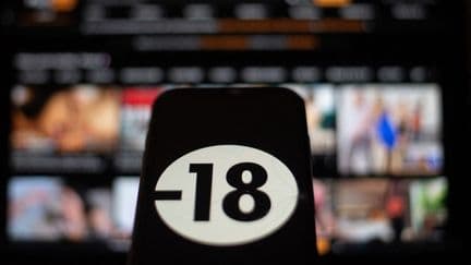 Les Etats membres de l'Union européenne peuvent imposer aux sites pornographiques de vérifier l'âge de leurs utilisateurs, tranche la Cour de justice de l'Union européenne