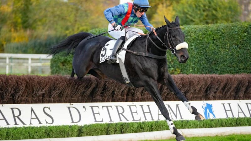 Disparition tragique du champion Losange Bleu sur l'hippodrome d'Auteuil