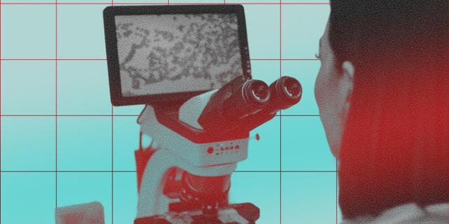 La biotech française Bionyra Pharma lève 143 millions d’euros pour s’attaquer aux maladies inflammatoires chroniques