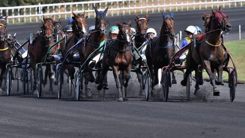 Les pronos hippiques du dimanche 21 juin 2026