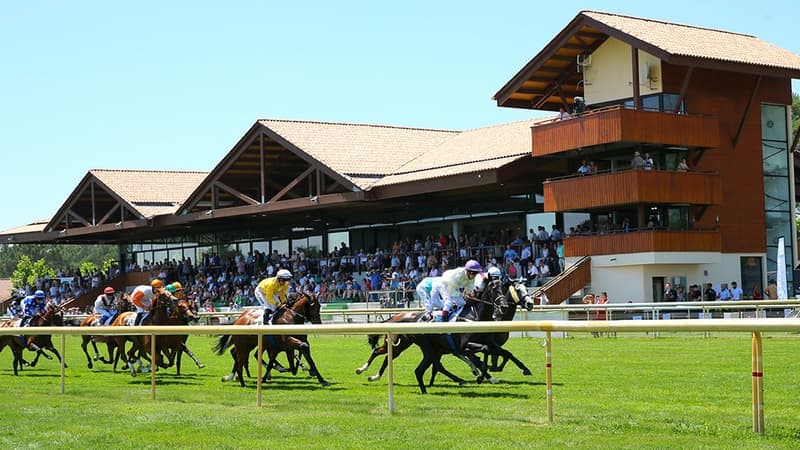 Les pronos hippiques du jeudi 25 juin 2026