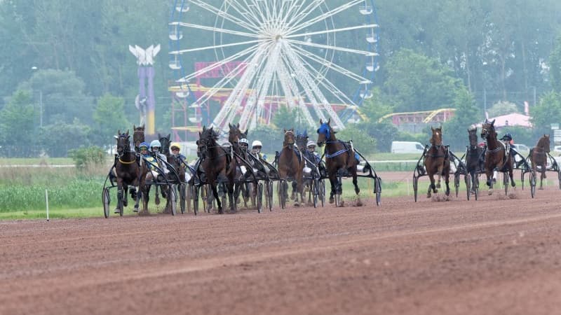 Les pronos hippiques du samedi 27 juin 2026