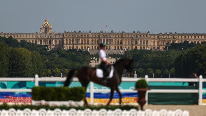 Horaires avancés, annulation des animations... comment les courses équestres s'adaptent aux très fortes chaleurs pour la santé des chevaux