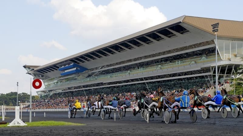 Les pronos hippiques du vendredi 26 juin 2026