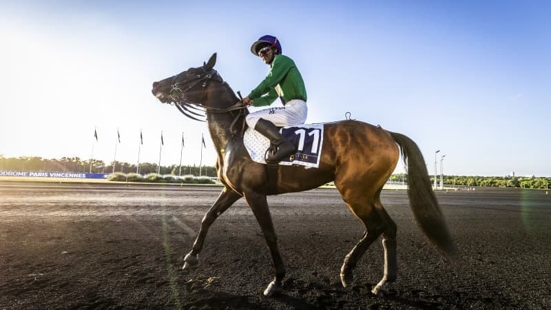 Les résultats de la Journée des Champions