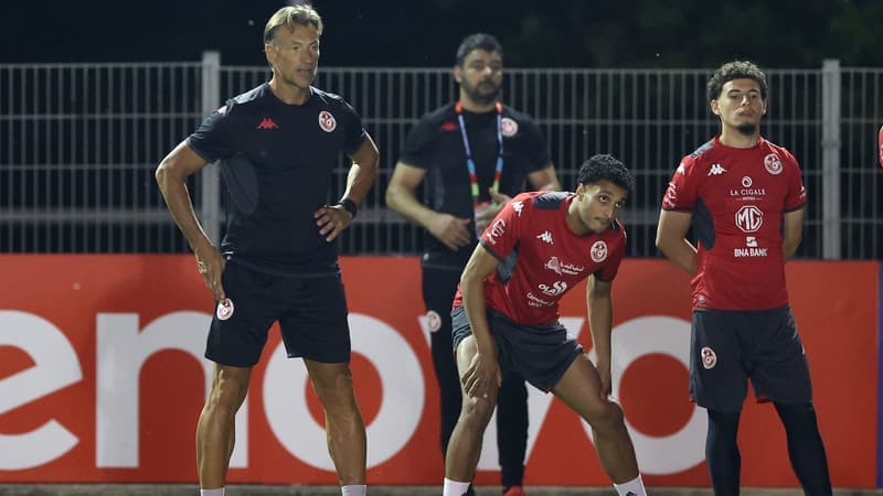 Tunisie-Japon: avant Hervé Renard, ça a donné quoi les changements de sélectionneur en pleine Coupe du monde?