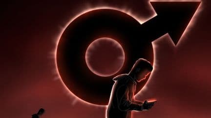 INFO FRANCEINFO. Masculinisme : un rapport du Sénat appelle à "réveiller les consciences" face à la montée du phénomène