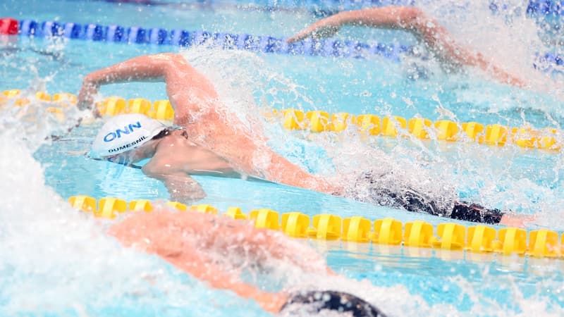 Championnats de France de natation: sans Maxime Grousset, un 100m nage libre sans éclair