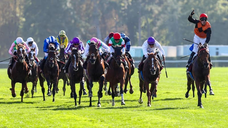 Les pronos hippiques du lundi 22 juin 2026