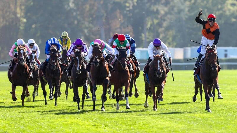 Les pronos hippiques du jeudi 15 octobre 2026