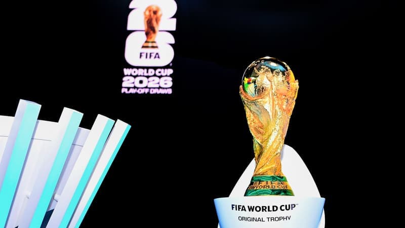 Coupe du monde 2026: "De l’instinct, de la chance, un peu de calcul", les secrets du meilleur joueur de Mon Petit Prono (MPP) pour cartonner